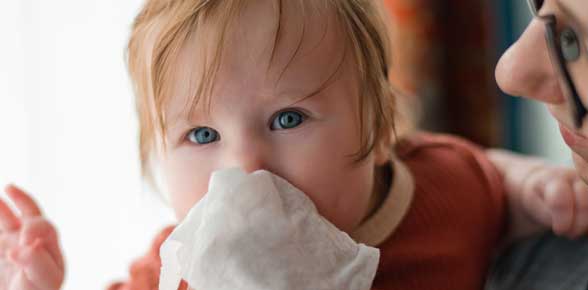 Allergia, polline e pappa reale per bambini